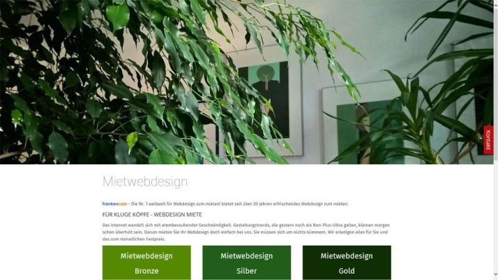 frankencom Webdesign Landing Page Mietwebdesign